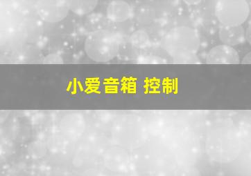 小爱音箱 控制